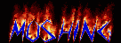 moshingflame.gif